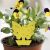 12 pcs Sticky Insect Traps 55341574