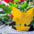 12 pcs Sticky Insect Traps 55341574