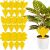 12 pcs Sticky Insect Traps 55341574
