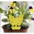 Yellow butterfly shaped sticky insect trap in flower pot
