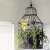 Yellow insect trap inside decorative birdcage with plants