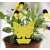 Yellow sticky insect trap for plants, butterfly shape, with trapped insects