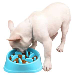 Fressnapf für Hunde #blau