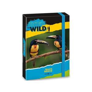 Ars Una Máté Bence Into the Wild A/5-ös füzetbox tukánokkal - Füzetbox
