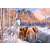 Castorland Puzzle 500 dielikov zobrazujúci kone v zasneženej zimnej scenérii.