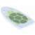 Pool Turtle foam swimming board for kids, blue with green turtle design