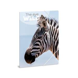 Ars Una A4 Ordner mit einem Zebrafoto von Máté Bence, Das Auge der Wildnis - Ars Una