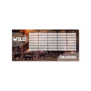 Ars Una Ochiul Sălbăticiei Programul Elefantului, dublu, pentru școală sau acasă - Ars Una