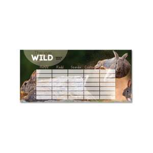 Ars Una The Eye of the Wild Hasen-Stundenplan, ungarischer Wochenplan für Kinder, entworfen von Máté Bence - Ars Una