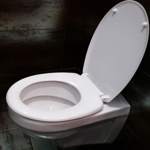 WC Tető Cseppminta Antracit Soft Close WC ülőke fürdőszobában felszerelve