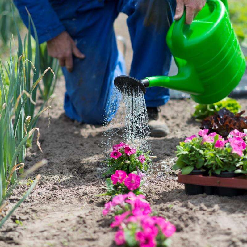 MŰANYAG LOCSOLÓKANNA 3 L - locsolórózsás könnyű öntöző kanna zöld...