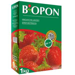 Biopon 1kg Erdbeer-Dünger für 25m² - Düngemittel