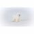 Schleich Bichon Frise dog figurine, realistic animal figure