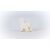 Back view of Schleich Bichon Frise figure, collectible animal
