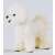 Schleich Bichon Frise dog figurine, white, side view