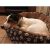 Dog sleeping in PetComfort 50cm round pet bed