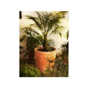 NG Violeta 30 32x30cm Terrakotta Übertopf 98732786 - Übertöpfe