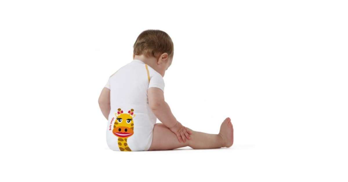 jbimbi body