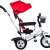 EcoToys Premium Plus Czerwony rowerek trójkołowy widok z boku