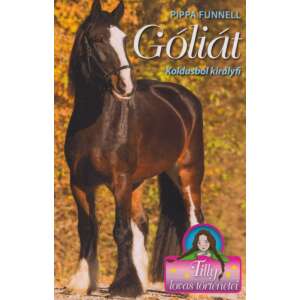 Góliát - Társ a bajban - Tilly lovas történetei 13. 46281322 "batman"  Ifjúsági könyvek