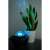 Isotrade night light projector projecting blue light on a plant