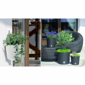 Splofy Bowl WS decorative flower pot collage showing hanging and standing options - Landscaping