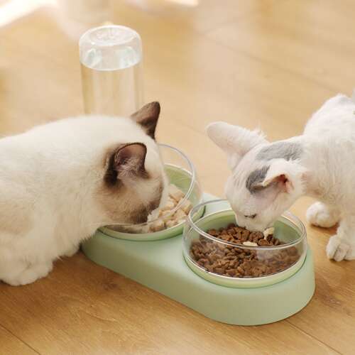 Two cats eating from a white and green double cat bowl with water dispenser, AVX-AG684E