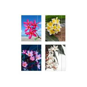 Herlitz Flower A4 gumis mappa, 4 különböző virágmintával - Irattartó mappa