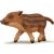 Papo Wild Boar Piglet Figure - Wildlife Animal - 6cm