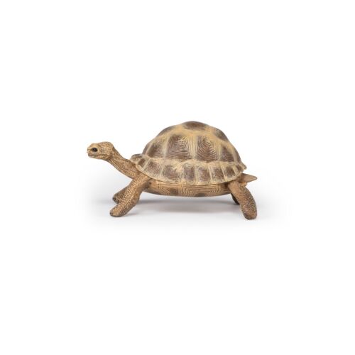 Papo Hermann's Tortoise Figurine - 7.5 cm, realistic animal figure