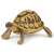Hermann's tortoise figurine by Papo
