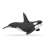 Papo Killer Whale Figurine, black and white, realistic, detailed, for kids, 3 years and up