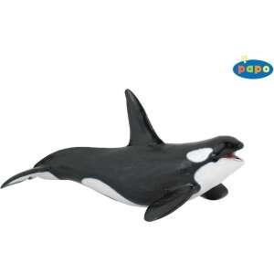 Papo Killer Whale Figurine, realistic black and white killer whale toy for kids - Papo Figure
