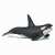 Papo Killer Whale Figurine, realistic black and white killer whale toy for kids