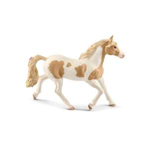 Schleich: Figurină iapă American Paint 55989602 - Figurine