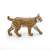 Papo Lynx figurine, realistic wild animal toy for kids, brown and black spotted fur, walking pose, side view