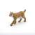 Papo Lynx figurine, realistic wild animal toy for kids, brown and black spotted fur, walking pose, side view