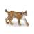 Papo Lynx figurine, realistic wild animal toy for kids, brown and black spotted fur, walking pose, side view