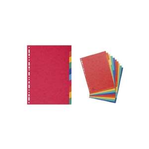 Exacompta A4 File de divizare colorate în 10 părți, pachet de 10 - Consumabile pentru capsator