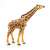 Papo Giraffe figurine, realistic animal toy for kids, brown and yellow giraffe with long neck, side view