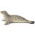 Schleich Seal 111877427