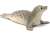 Schleich Seal Figurine