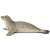 Schleich Seal Figurine