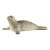 Schleich Seal Figurine