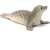 Schleich Seal Figurine