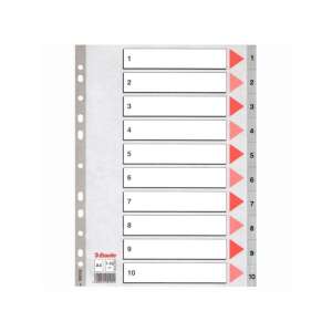 Esselte A4 1-10 registru din plastic, 10 divizoare, numerotate, pentru organizarea documentelor - Consumabile pentru capsator