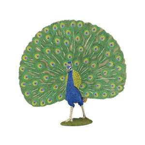 Papo Peacock Figurine, realistic peacock toy, green and blue peacock, animal figurine - Papo