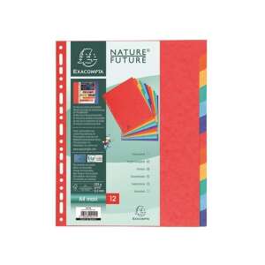 Exacompta A4 12-piese de carton color divizoare 56015615 - Registre și plăci separare