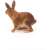 Papo Brown Rabbit Figurine, realistic animal toy for kids