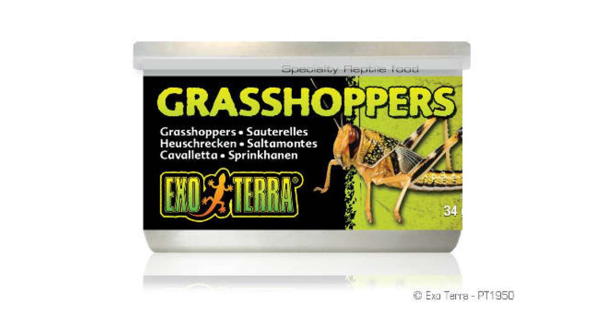 ExoTerra hüllőeledel (szöcske) 34g Pepita.hu